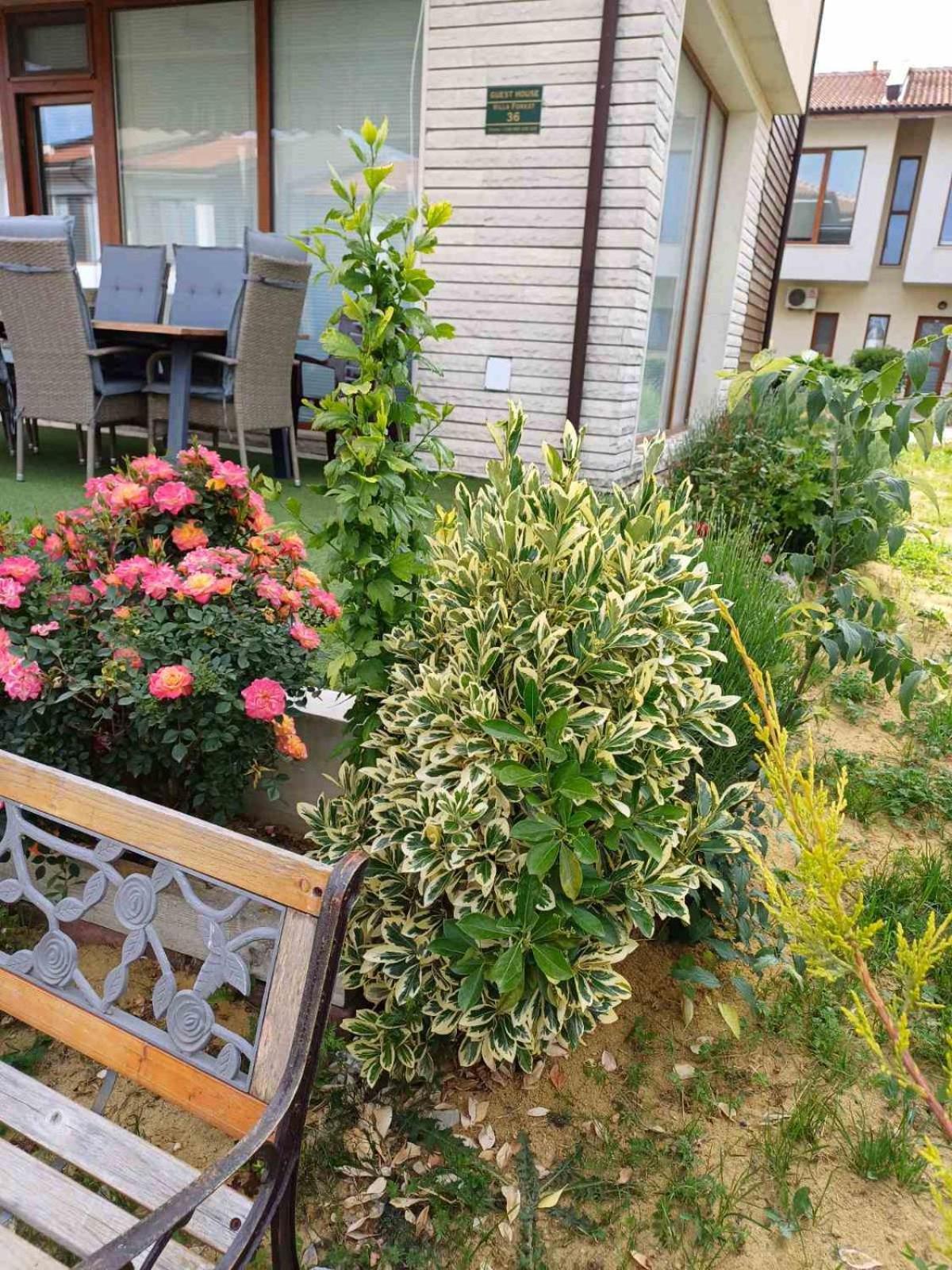 Lighthouse 3 Bedrooms Villa F36 Balchik Exterior foto